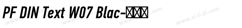 PF DIN Text W07 Blac字体转换 PF DIN Text W07 Blac字体转换